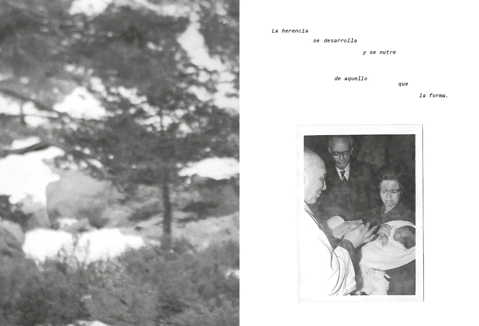 Poster 'Sentido Commun'