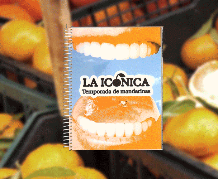 Fanzine 'La iconica'