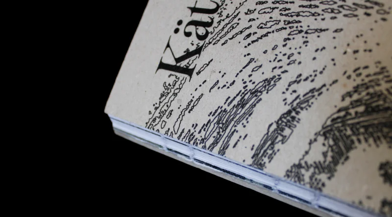 Cover of the book 'Kathe Kollwitz'