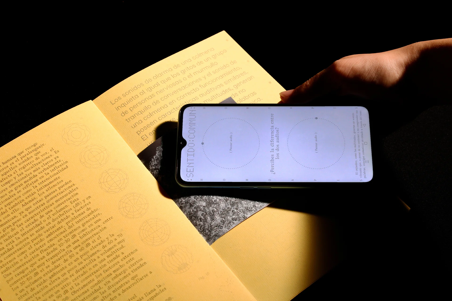 Imagen archivador 'Sentido Commun'